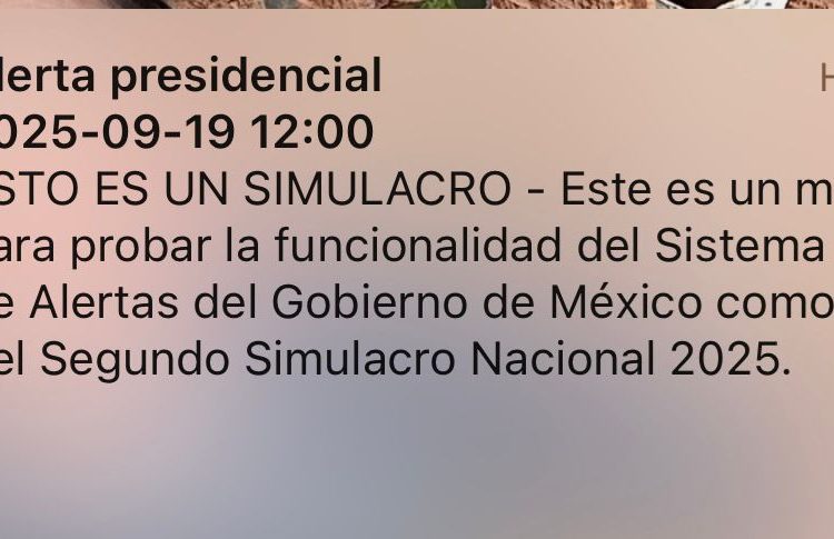 Ciudadanos revisan sus celulares tras no recibir la alerta sísmica en el Simulacro Nacional 2025
