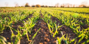 México y Chile refuerzan la cooperación agrícola con enfoque sostenible