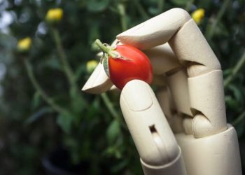Productores agrícolas utilizando inteligencia artificial para planificar la siembra y exportación.
