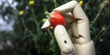 Productores agrícolas utilizando inteligencia artificial para planificar la siembra y exportación.