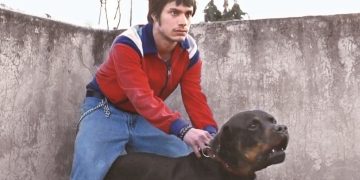 amores-perros-pelicula-25-aniversario