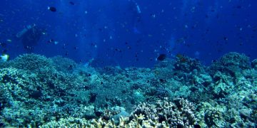 El Tratado Global de los Océanos suma las 60 ratificaciones para su entrada en vigor