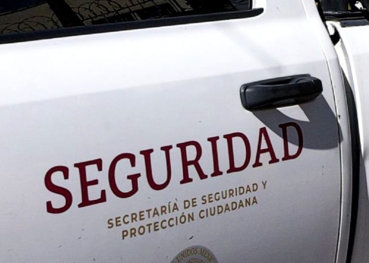 Autoridades mexicanas decomisaron 21 toneladas de metanfetamina en Durango durante un operativo contra laboratorios clandestinos