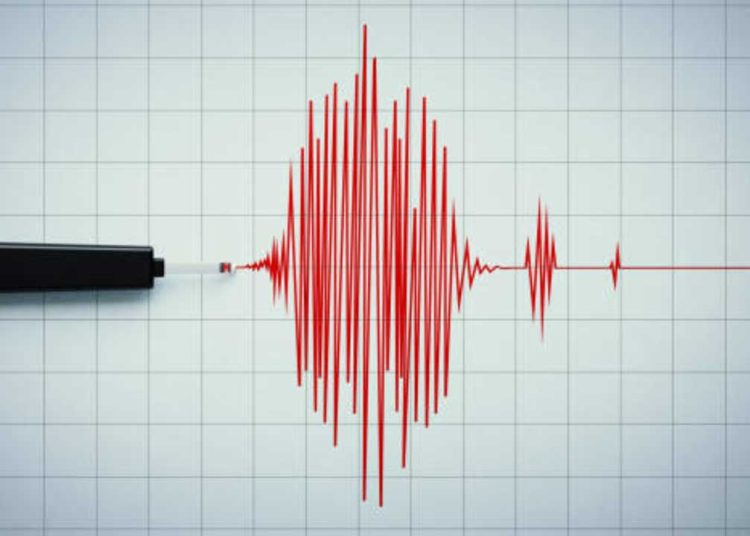Un terremoto de magnitud 7.4 sacude las costas de Indonesia