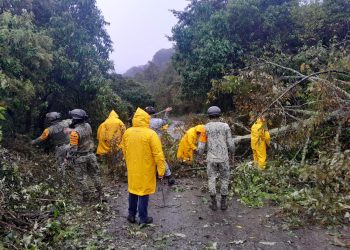 Fotografía de elementos del Ejército y Guardia Nacional realizando labores de limpieza o rescate en zonas afectadas por lluvias en Querétaro.