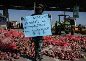 “Se ha perdido un 40% de autosuficiencia alimentaria en México y podría ser peor si no se apoya a productores”: Especialista