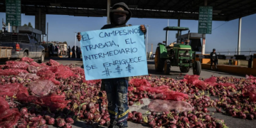 “Se ha perdido un 40% de autosuficiencia alimentaria en México y podría ser peor si no se apoya a productores”: Especialista
