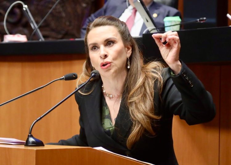"La ley amparo no le beneficia al ciudadano de pie, es un retroceso" Viggiano