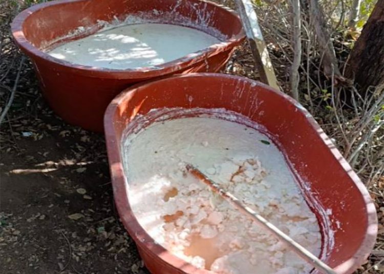 Detienen a siete personas y desmantelan laboratorio de metanfetaminas en Tijuana