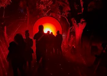 ✨🌱 Luces y sonidos llegan al bosque de Chapultepec 