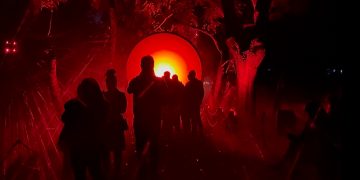 ✨🌱 Luces y sonidos llegan al bosque de Chapultepec 