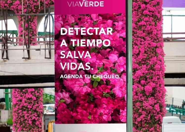 Colaboración entre Grupo Vallas y aliados como Fundación Instituto Natura y Avon para reforzar la cultura de prevención y salud en México