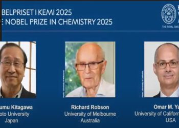 ¿Qué son las estructuras metalorgánicas, con el que tres investigadores ganaron este 2025 el premio nobel de química?