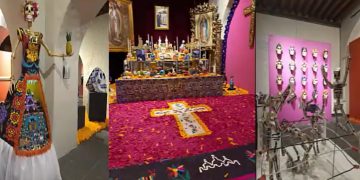 CDMX: San Ángel vuelve a vestirse de cempasúchil