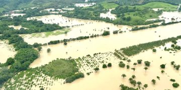 Inundaciones en Álamo y Poza Rica tras desbordamiento del río Cazone