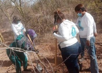 Esclarecen hallazgo de 60 cuerpos en Hermosillo; hay 5 detenidos
