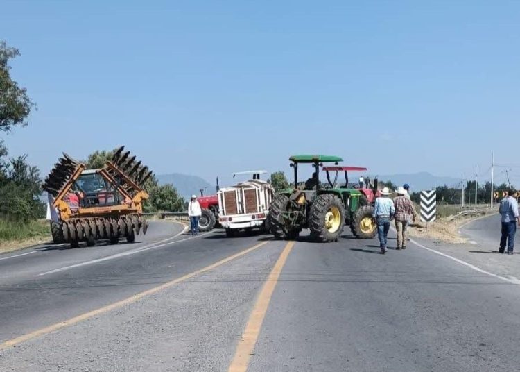 Productores de maíz retirando tractores de bloqueos carreteros en Michoacán.