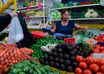 “Sector agropecuario de México muestra repunte del 3,5 % en 2025”