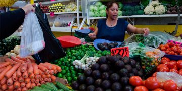 “Sector agropecuario de México muestra repunte del 3,5 % en 2025”