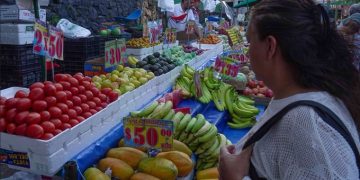 precios de las frutas en el mercado