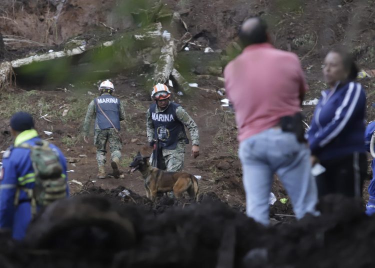 Más de 53 mil servidores públicos trabajan en la atención de emergencias en Hidalgo, Veracruz y otras entidades. EFE/ Hilda Ríos