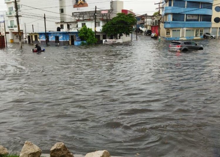 Pequeños comercios de Veracruz afectados por inundaciones y lluvias intensas registran baja demanda y pérdidas económicas
