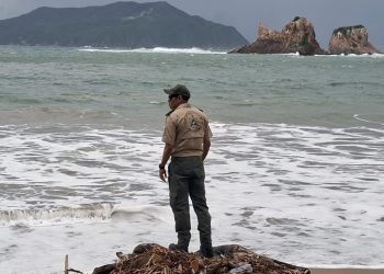 Huracán Priscila categoría 1: alertas en Jalisco por lluvias, viento y oleaje elevado