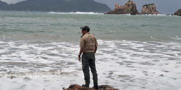 Huracán Priscila categoría 1: alertas en Jalisco por lluvias, viento y oleaje elevado