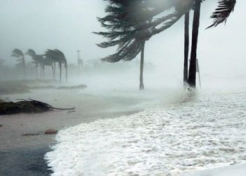 Huracán Priscila: vigilancia y afectaciones en Jalisco con rachas de viento de 170 km/h