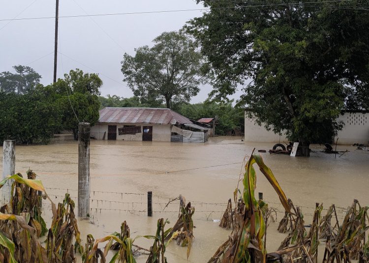 Protección Civil trabaja en la localización de personas desaparecidas tras las inundaciones. EFE/ Miguel Victoria