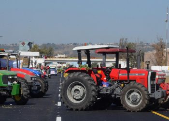 Gobierno federal anuncia acuerdos con productores de maíz