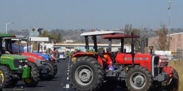 Gobierno federal anuncia acuerdos con productores de maíz