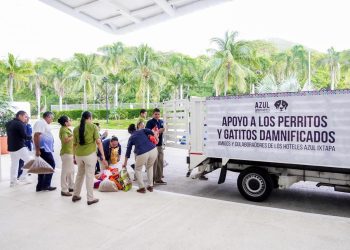 Hidalgo: Llega cargamento de alimentos para mascotas afectadas por inundaciones