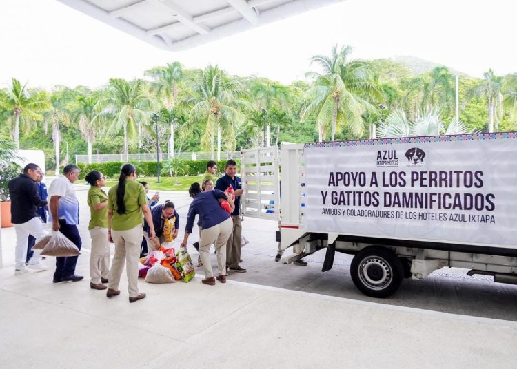 Perritos y gatitos afectados por inundaciones reciben alimentos donados por Hoteles Azul Ixtapa