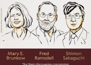 🧬 Nobel de Medicina 2025: Mary Brunkow y Fred Ramsdell descubren el papel del gen Foxp3