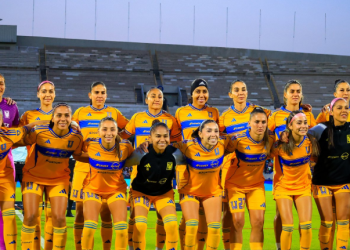 tigres