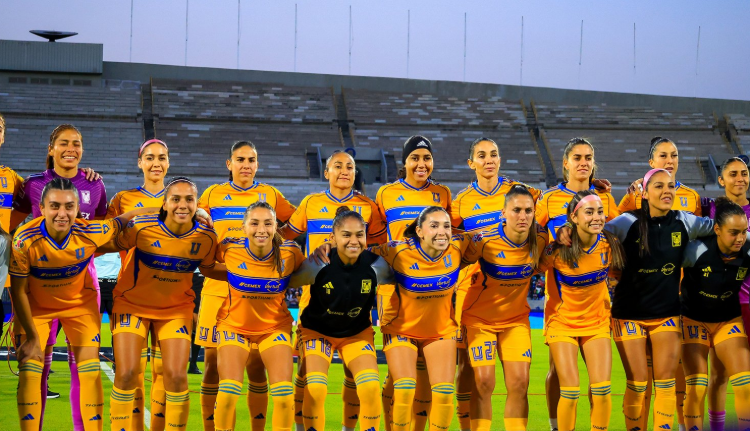 tigres
