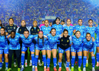 tigres
