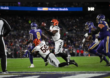 bengals