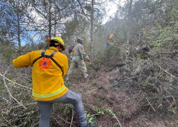 Protección Civil combate incendio forestal en Doctor Arroyo, Nuevo León
