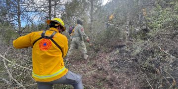 Protección Civil combate incendio forestal en Doctor Arroyo, Nuevo León