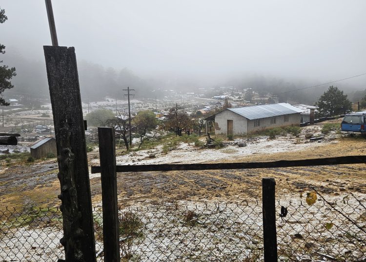 FOTO: Ciénega de la Vaca