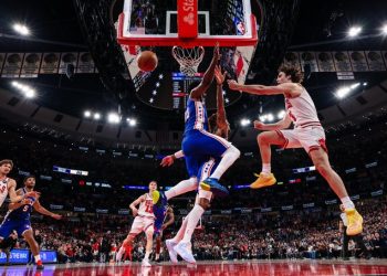 bulls