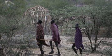 🌎 Refugiados, los más golpeados por el cambio climático, advierte ACNUR en la COP30