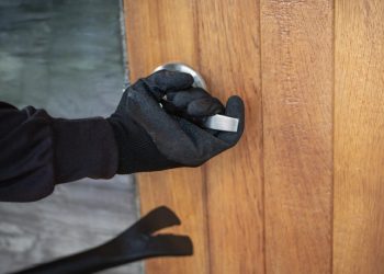 “El año pasado se formularon 4 mil denuncias por el delito de despojo en la CDMX y la cifra ha ido aumentando”: Saucedo