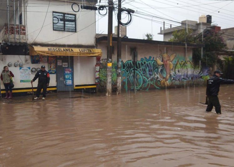 Pymes en Veracruz reciben créditos preferenciales para recuperar su producción tras inundaciones