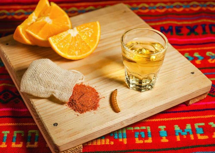 El mezcal mexiquense avanza en reconocimiento nacional e impulso económico