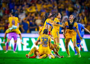 tigres3