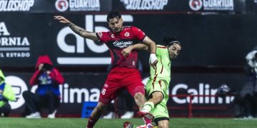 Xolos