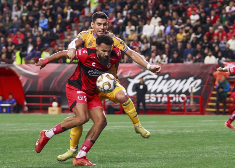 xolos